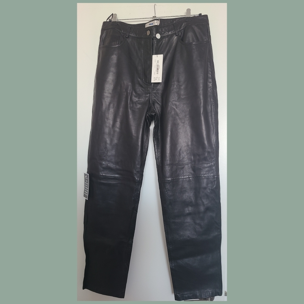Leather pants | Danier | NWT